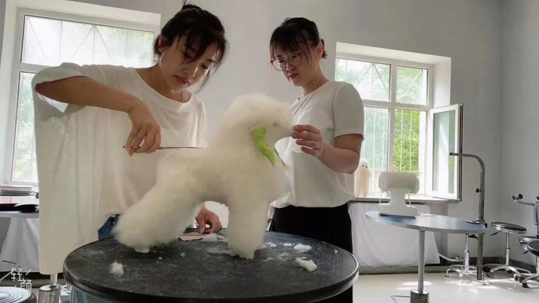 �����в�����չ�м��˸�λ��Ӣְҵ���ܾ�����ǰ��ѵ